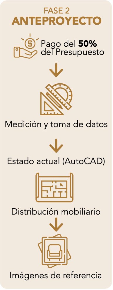 FASE 2 Proyecto de Decoración